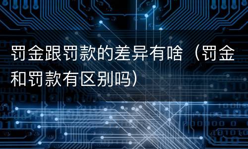 罚金跟罚款的差异有啥（罚金和罚款有区别吗）