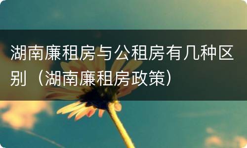 湖南廉租房与公租房有几种区别（湖南廉租房政策）