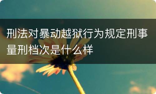 刑法对暴动越狱行为规定刑事量刑档次是什么样