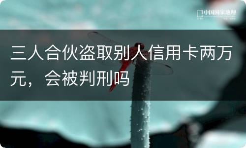 三人合伙盗取别人信用卡两万元，会被判刑吗
