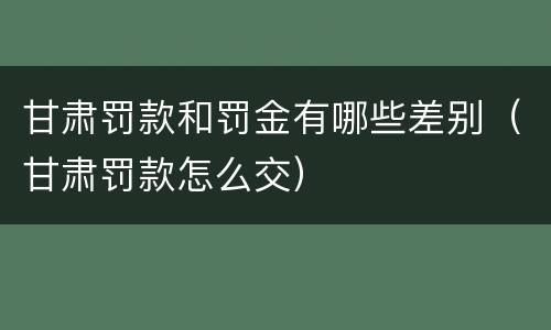甘肃罚款和罚金有哪些差别（甘肃罚款怎么交）