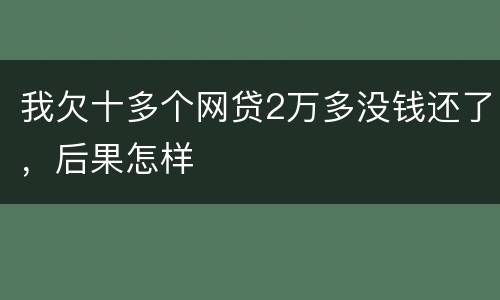 我欠十多个网贷2万多没钱还了，后果怎样