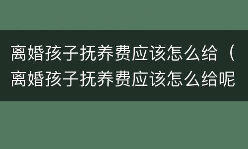 离婚孩子抚养费应该怎么给（离婚孩子抚养费应该怎么给呢）