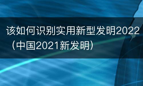 该如何识别实用新型发明2022（中国2021新发明）