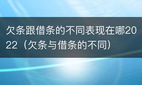 欠条跟借条的不同表现在哪2022（欠条与借条的不同）