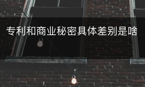 专利和商业秘密具体差别是啥