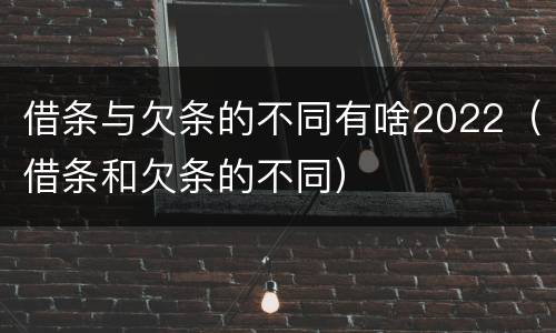 借条与欠条的不同有啥2022（借条和欠条的不同）