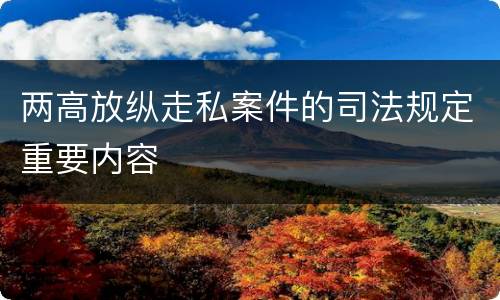两高放纵走私案件的司法规定重要内容