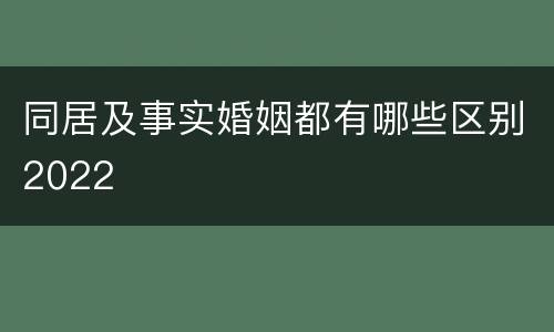 同居及事实婚姻都有哪些区别2022
