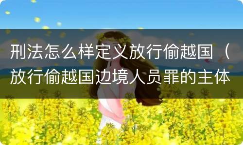 刑法怎么样定义放行偷越国（放行偷越国边境人员罪的主体是）