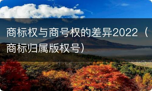 商标权与商号权的差异2022（商标归属版权号）