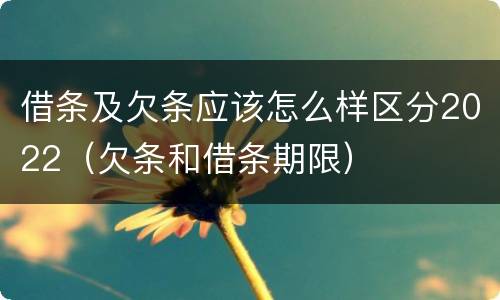 借条及欠条应该怎么样区分2022（欠条和借条期限）