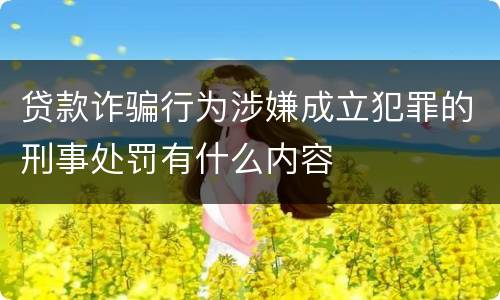 贷款诈骗行为涉嫌成立犯罪的刑事处罚有什么内容