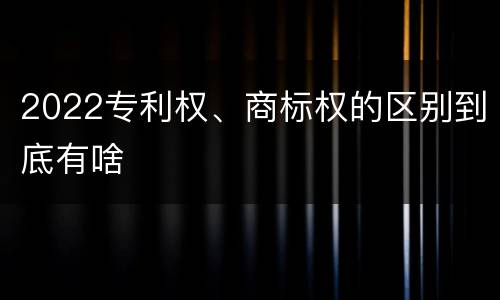 2022专利权、商标权的区别到底有啥