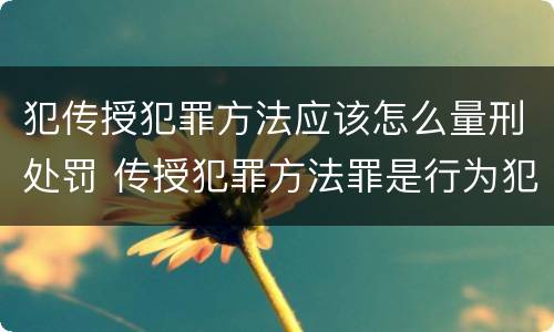 犯传授犯罪方法应该怎么量刑处罚 传授犯罪方法罪是行为犯吗