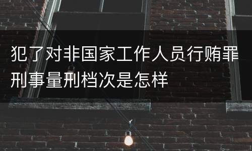 犯了对非国家工作人员行贿罪刑事量刑档次是怎样