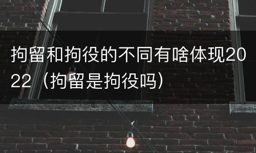 拘留和拘役的不同有啥体现2022（拘留是拘役吗）
