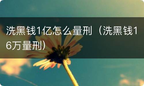 洗黑钱1亿怎么量刑（洗黑钱16万量刑）
