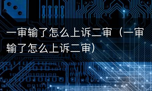 一审输了怎么上诉二审（一审输了怎么上诉二审）