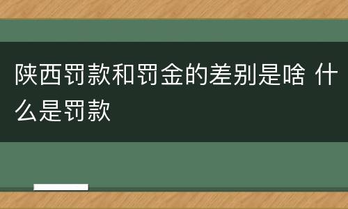 陕西罚款和罚金的差别是啥 什么是罚款