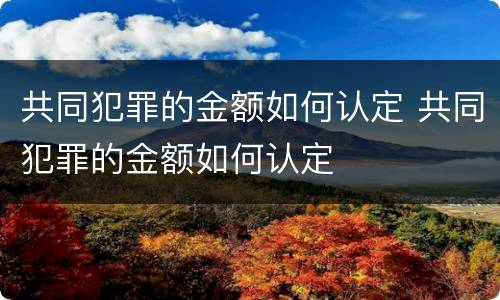 共同犯罪的金额如何认定 共同犯罪的金额如何认定