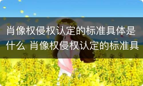 肖像权侵权认定的标准具体是什么 肖像权侵权认定的标准具体是什么内容