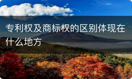 专利权及商标权的区别体现在什么地方