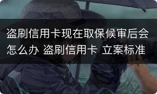 盗刷信用卡现在取保候审后会怎么办 盗刷信用卡 立案标准