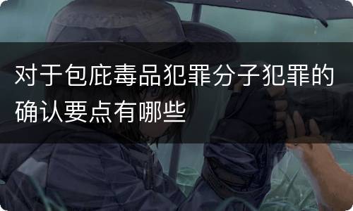 对于包庇毒品犯罪分子犯罪的确认要点有哪些