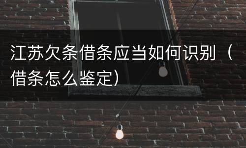 江苏欠条借条应当如何识别（借条怎么鉴定）