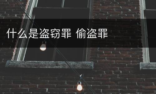 什么是盗窃罪 偷盗罪