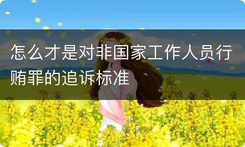 怎么才是对非国家工作人员行贿罪的追诉标准