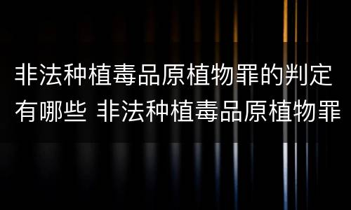 非法种植毒品原植物罪的判定有哪些 非法种植毒品原植物罪的判定有哪些条件
