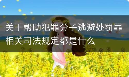 关于帮助犯罪分子逃避处罚罪相关司法规定都是什么