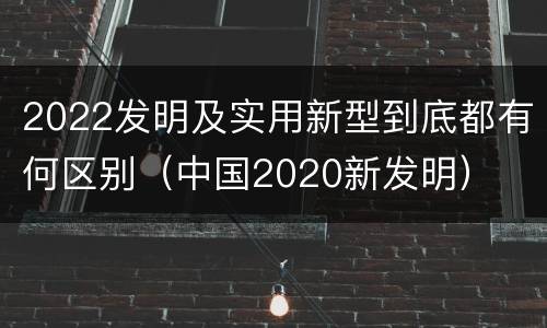 2022发明及实用新型到底都有何区别（中国2020新发明）