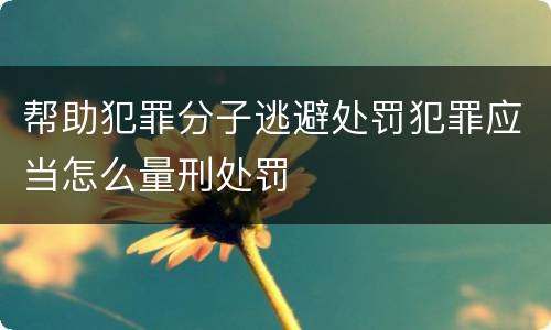帮助犯罪分子逃避处罚犯罪应当怎么量刑处罚