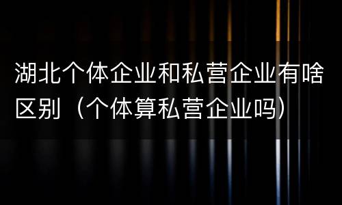 湖北个体企业和私营企业有啥区别（个体算私营企业吗）