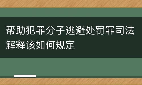 帮助犯罪分子逃避处罚罪司法解释该如何规定