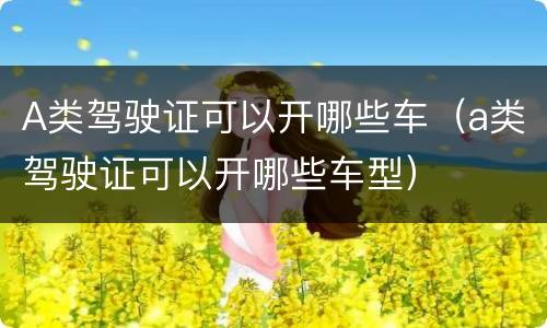 A类驾驶证可以开哪些车（a类驾驶证可以开哪些车型）
