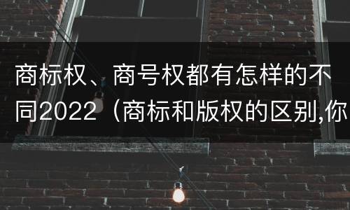 商标权、商号权都有怎样的不同2022（商标和版权的区别,你知道多少?）