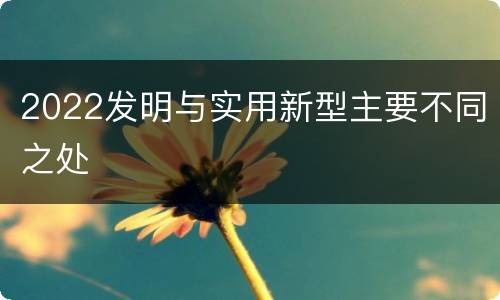 2022发明与实用新型主要不同之处