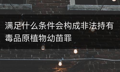 满足什么条件会构成非法持有毒品原植物幼苗罪