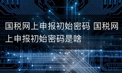 国税网上申报初始密码 国税网上申报初始密码是啥