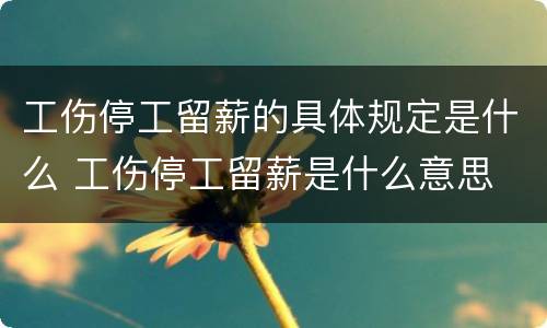 工伤停工留薪的具体规定是什么 工伤停工留薪是什么意思