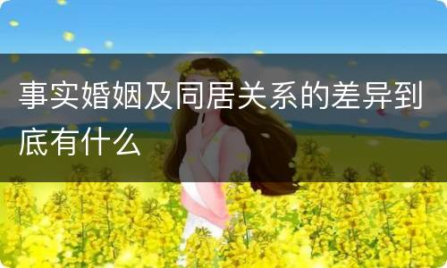 事实婚姻及同居关系的差异到底有什么