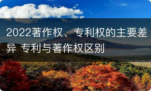 2022著作权、专利权的主要差异 专利与著作权区别