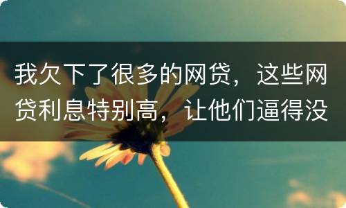 我欠下了很多的网贷，这些网贷利息特别高，让他们逼得没有能力偿还了，我该怎么办