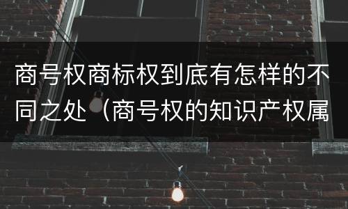 商号权商标权到底有怎样的不同之处（商号权的知识产权属性）
