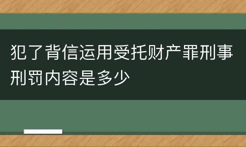 犯了背信运用受托财产罪刑事刑罚内容是多少