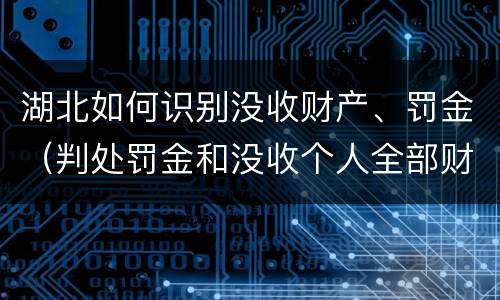 湖北如何识别没收财产、罚金（判处罚金和没收个人全部财产如何执行）